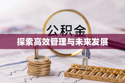 新邵探索高效管理与未来发展