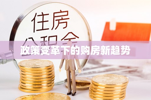 新邵政策变革下的购房新趋势