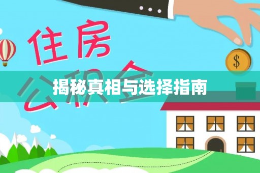 新邵揭秘真相与选择指南
