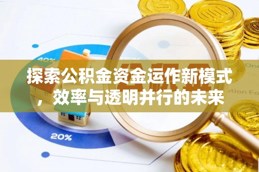 新邵探索公积金资金运作新模式，效率与透明并行的未来