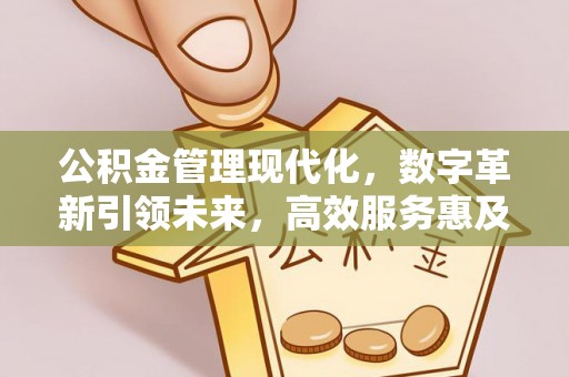 新邵公积金管理现代化，数字革新引领未来，高效服务惠及民生