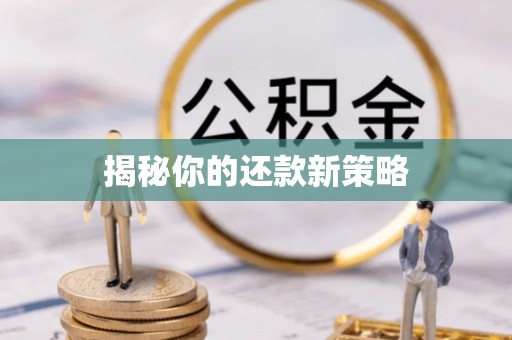 新邵揭秘你的还款新策略