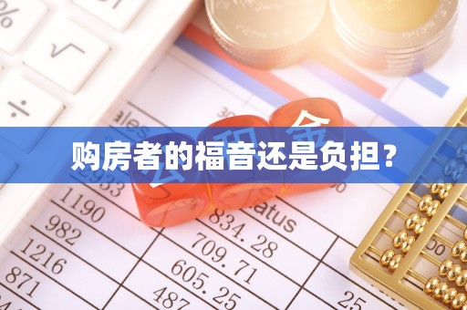 新邵购房者的福音还是负担？