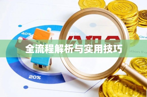 新邵全流程解析与实用技巧