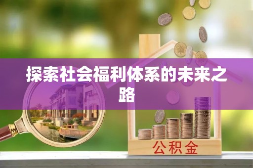 新邵探索社会福利体系的未来之路
