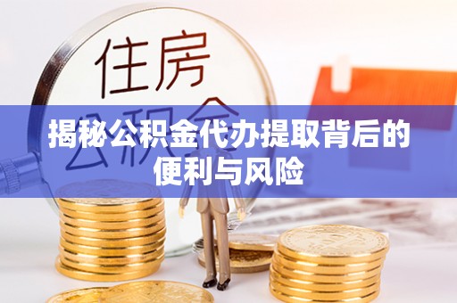 新邵揭秘公积金代办提取背后的便利与风险
