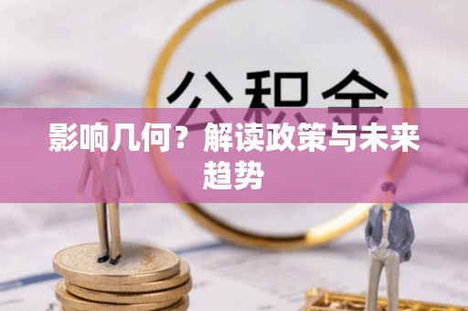 新邵影响几何？解读政策与未来趋势