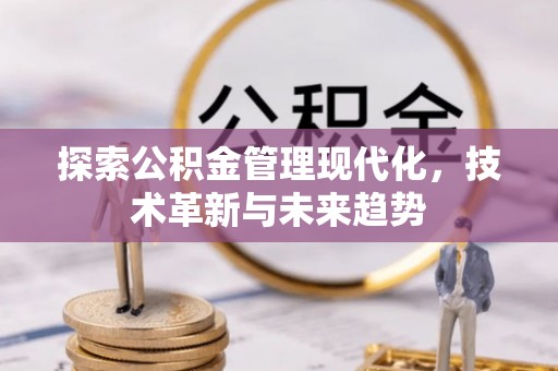 新邵探索公积金管理现代化，技术革新与未来趋势