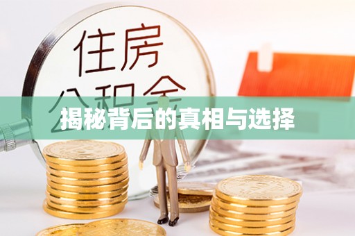 新邵揭秘背后的真相与选择