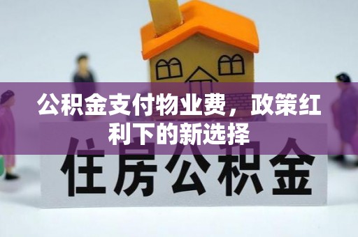 新邵公积金支付物业费，政策红利下的新选择