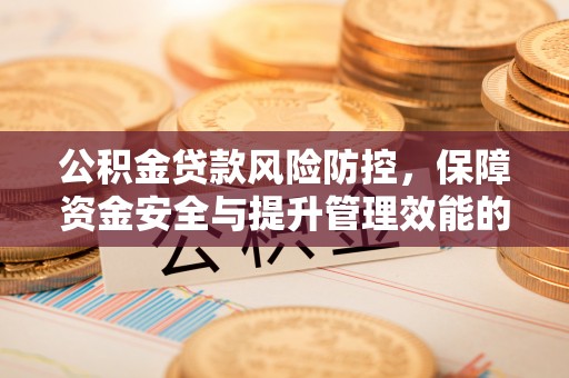 新邵公积金贷款风险防控，保障资金安全与提升管理效能的多维度探索