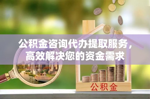 新邵公积金咨询代办提取服务，高效解决您的资金需求
