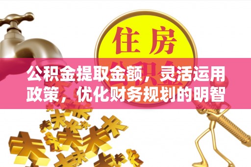新邵公积金提取金额，灵活运用政策，优化财务规划的明智选择