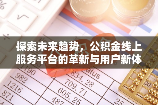 新邵探索未来趋势，公积金线上服务平台的革新与用户新体验