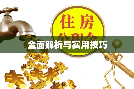 新邵全面解析与实用技巧