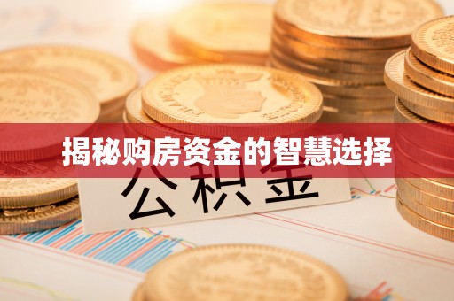 新邵揭秘购房资金的智慧选择