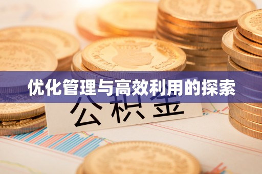 新邵优化管理与高效利用的探索