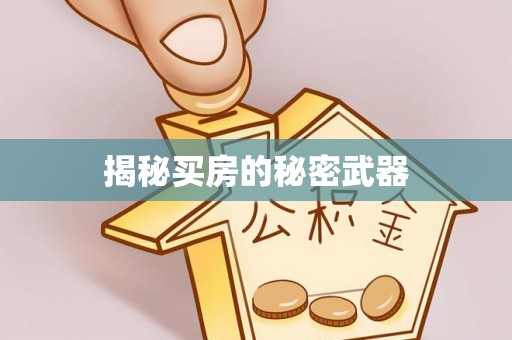新邵揭秘买房的秘密武器