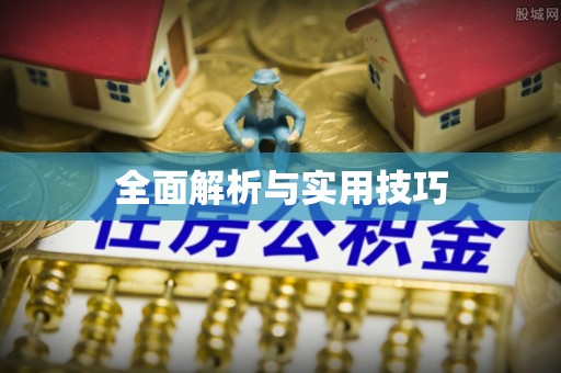 新邵全面解析与实用技巧