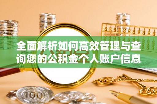 新邵全面解析如何高效管理与查询您的公积金个人账户信息