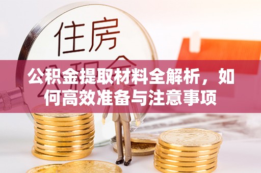 新邵公积金提取材料全解析，如何高效准备与注意事项