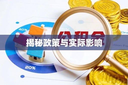 新邵揭秘政策与实际影响