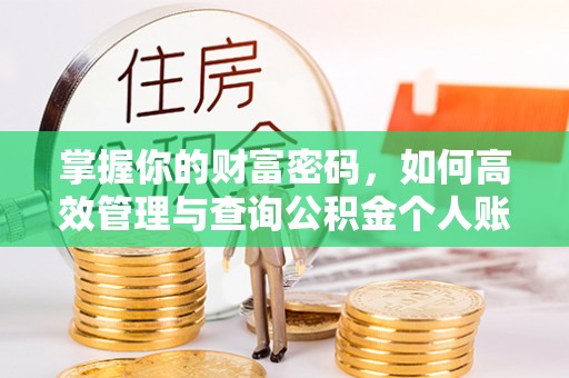 新邵掌握你的财富密码，如何高效管理与查询公积金个人账户信息