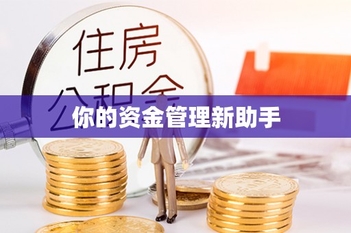 新邵你的资金管理新助手