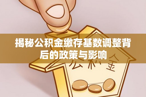 新邵揭秘公积金缴存基数调整背后的政策与影响