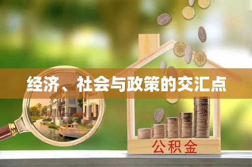 新邵经济、社会与政策的交汇点
