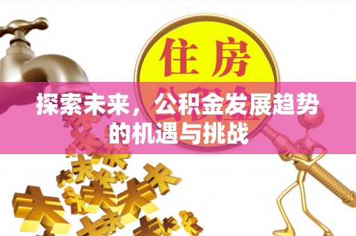 新邵探索未来，公积金发展趋势的机遇与挑战