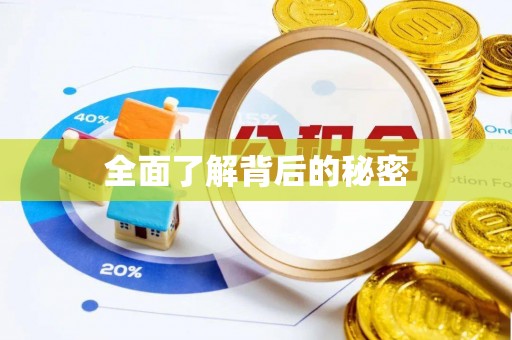 新邵全面了解背后的秘密
