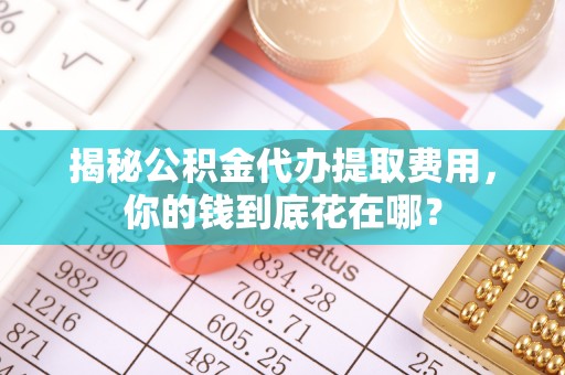 新邵揭秘公积金代办提取费用，你的钱到底花在哪？