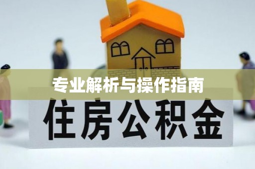 新邵专业解析与操作指南