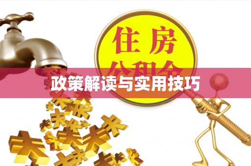 新邵政策解读与实用技巧