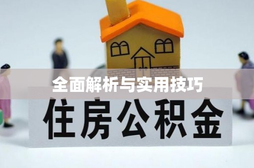 新邵全面解析与实用技巧