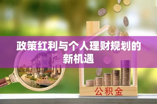 新邵政策红利与个人理财规划的新机遇