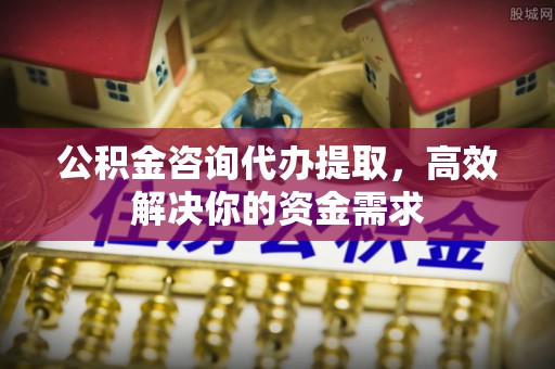新邵公积金咨询代办提取，高效解决你的资金需求