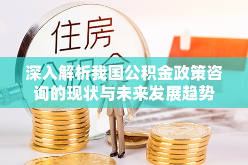 新邵深入解析我国公积金政策咨询的现状与未来发展趋势