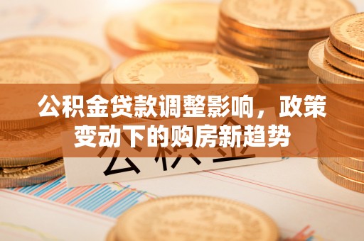 新邵公积金贷款调整影响，政策变动下的购房新趋势