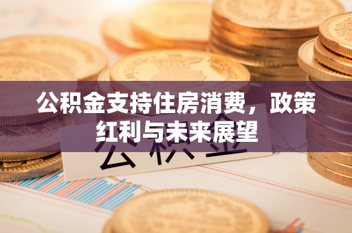 新邵公积金支持住房消费，政策红利与未来展望