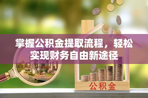 新邵掌握公积金提取流程，轻松实现财务自由新途径