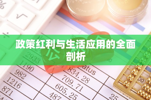 新邵政策红利与生活应用的全面剖析
