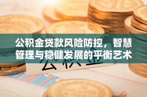 新邵公积金贷款风险防控，智慧管理与稳健发展的平衡艺术