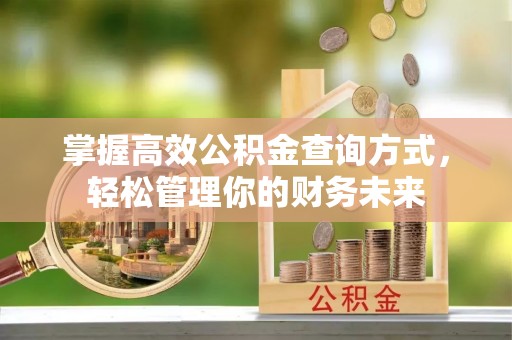 新邵掌握高效公积金查询方式，轻松管理你的财务未来