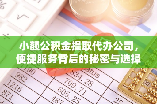新邵小额公积金提取代办公司，便捷服务背后的秘密与选择指南
