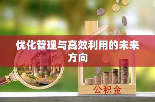 新邵优化管理与高效利用的未来方向
