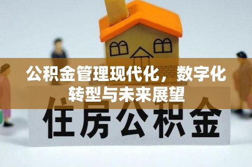 新邵公积金管理现代化，数字化转型与未来展望