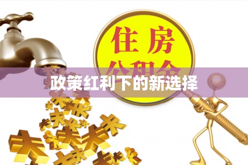 新邵政策红利下的新选择