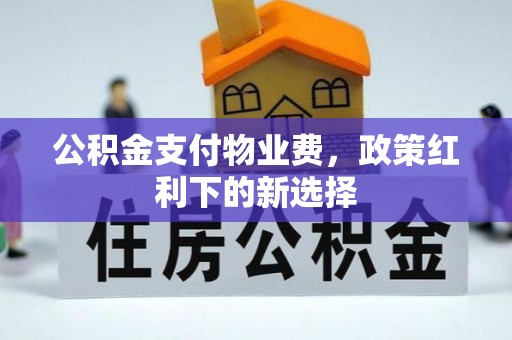 新邵公积金支付物业费，政策红利下的新选择